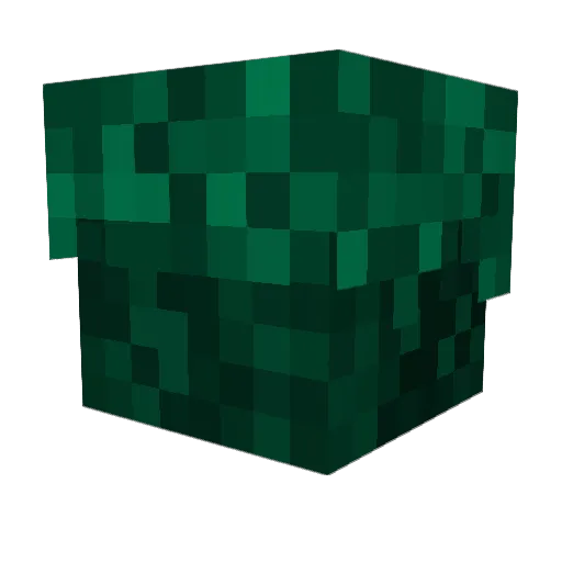 MuskyMoss Minecraft avatar head, 3D render