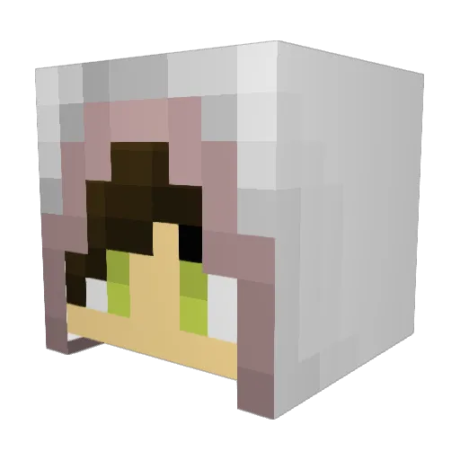 MustacheBoy11 Minecraft avatar head, 3D render