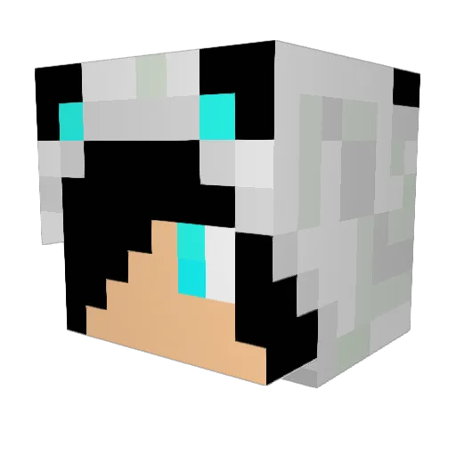 Mustacheman273 Minecraft avatar head, 3D render