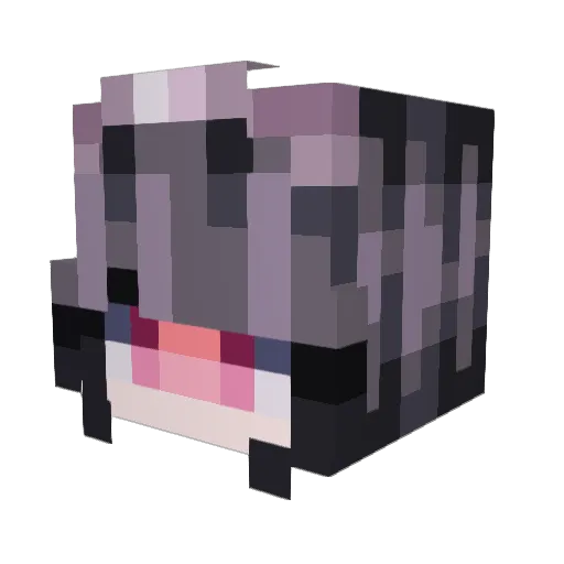 MustangGirl501 Minecraft avatar head, 3D render