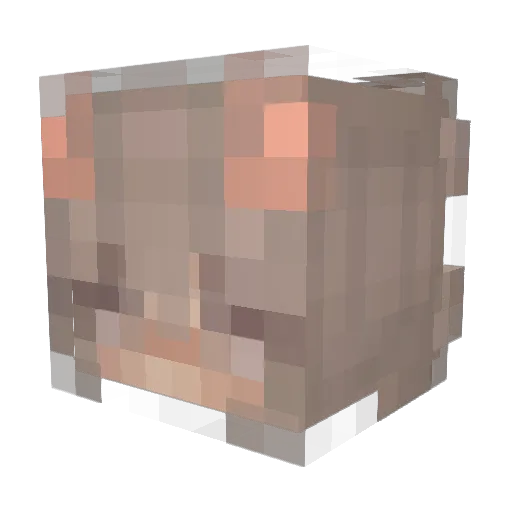 MustangKitty Minecraft avatar head, 3D render