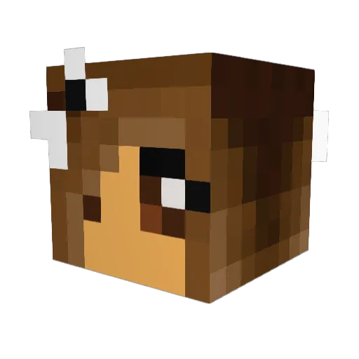 Mustangs583 Minecraft avatar head, 3D render