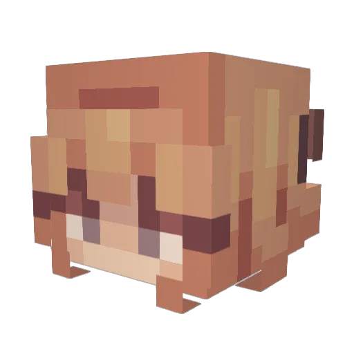 Muszi Minecraft avatar head, 3D render