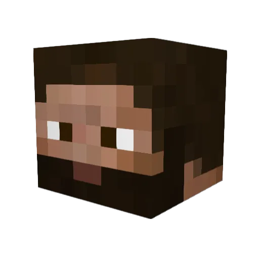 Mutant911 Minecraft avatar head, 3D render