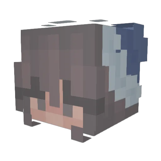 MutantPig31 Minecraft avatar head, 3D render