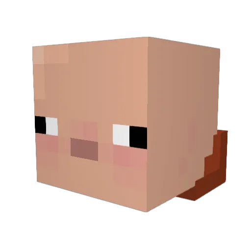 MuteD6 Minecraft avatar head, 3D render