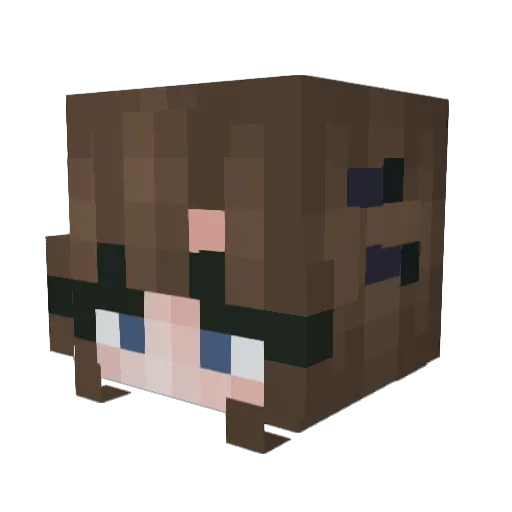 MuteShark Minecraft avatar head, 3D render