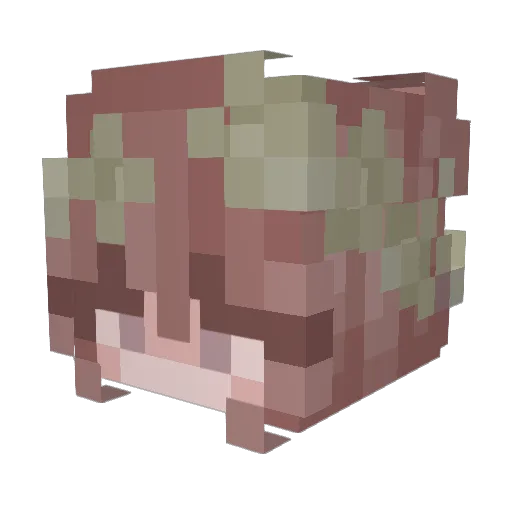 MutedSugar Minecraft avatar head, 3D render