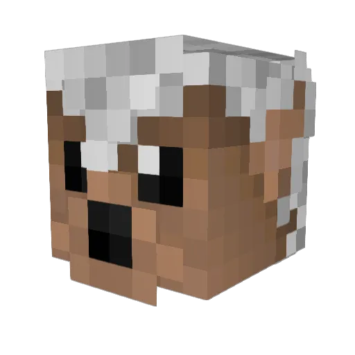 Muttly123 Minecraft avatar head, 3D render