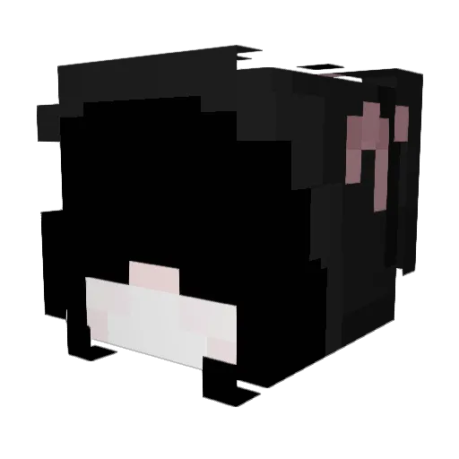 Muunyer Minecraft avatar head, 3D render