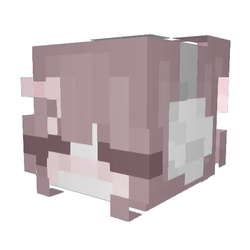 Muusssi Minecraft avatar head, 3D render