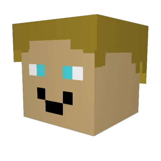 Mux4877 Minecraft avatar head, 3D render