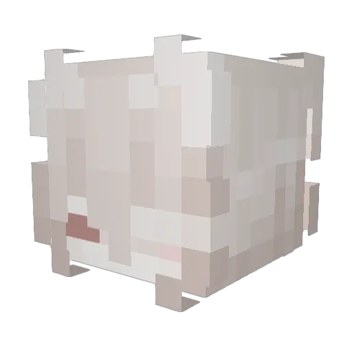 Muya Minecraft avatar head, 3D render