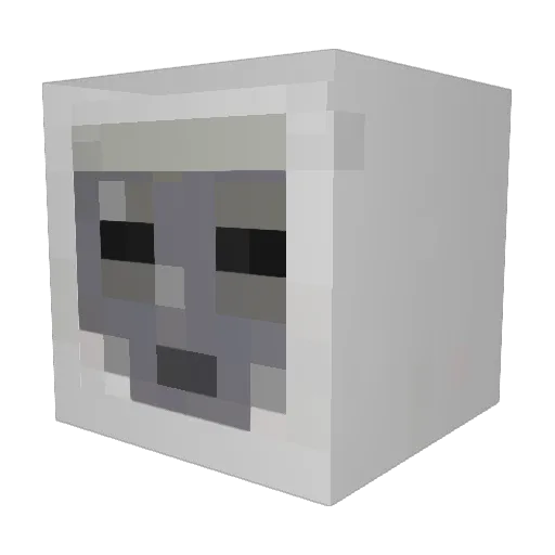 MuzicalCanv3558 Minecraft avatar head, 3D render