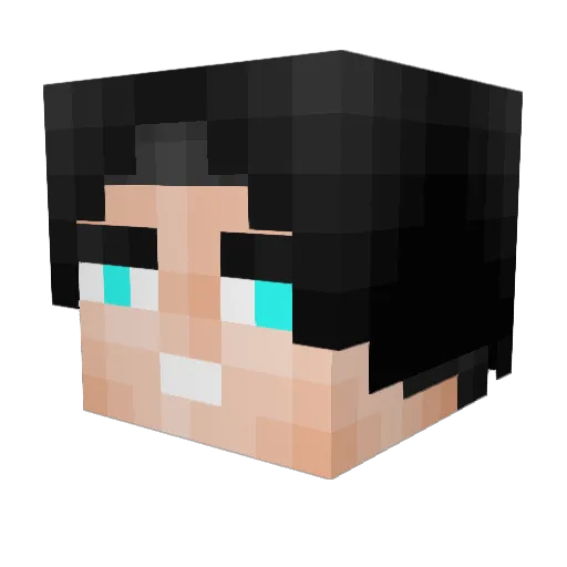 Mvp_c17 Minecraft avatar head, 3D render