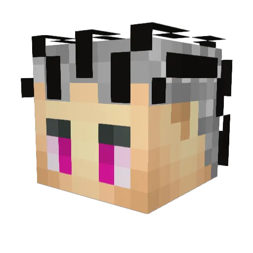 MwGxJaMmY Minecraft avatar head, 3D render