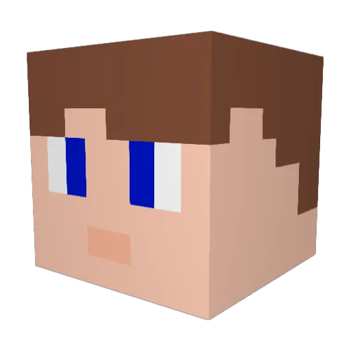 Mwbarger09 Minecraft avatar head, 3D render