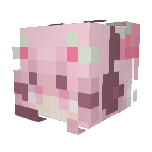 Mwiku Minecraft avatar head, 3D render