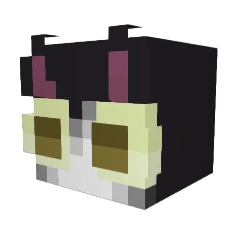 Mwymsical Minecraft avatar head, 3D render