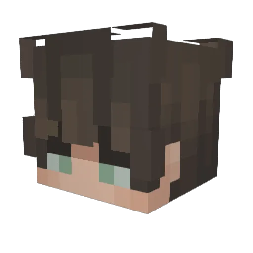 MxRplaysMinraft Minecraft avatar head, 3D render
