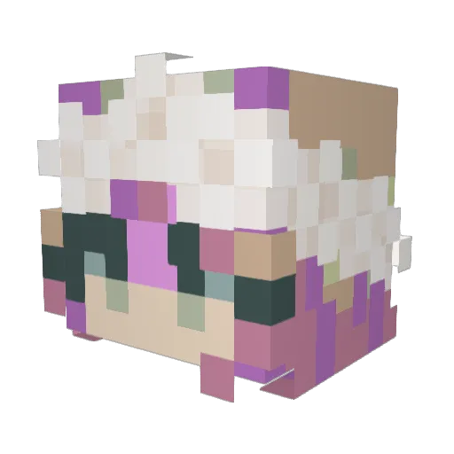 Mxchelle9 Minecraft avatar head, 3D render