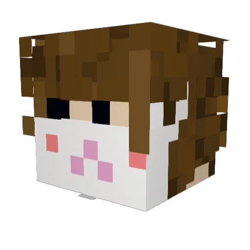 Mxe55 Minecraft avatar head, 3D render