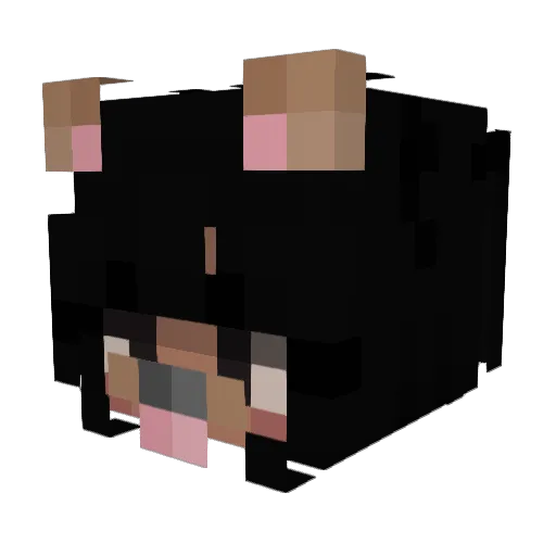 Mxfija Minecraft avatar head, 3D render