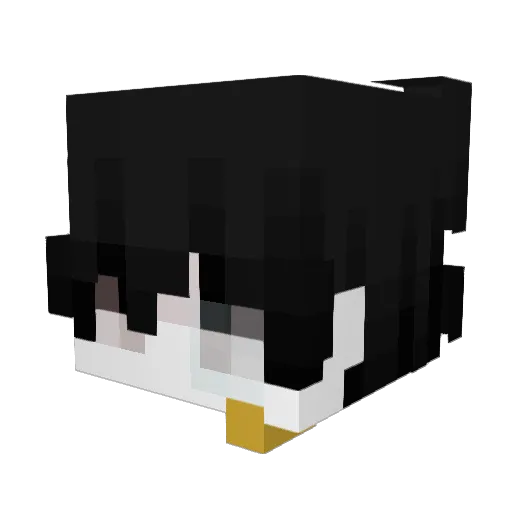 Mxfty Minecraft avatar head, 3D render