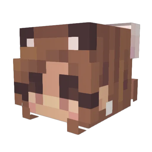 Mxllooo Minecraft avatar head, 3D render