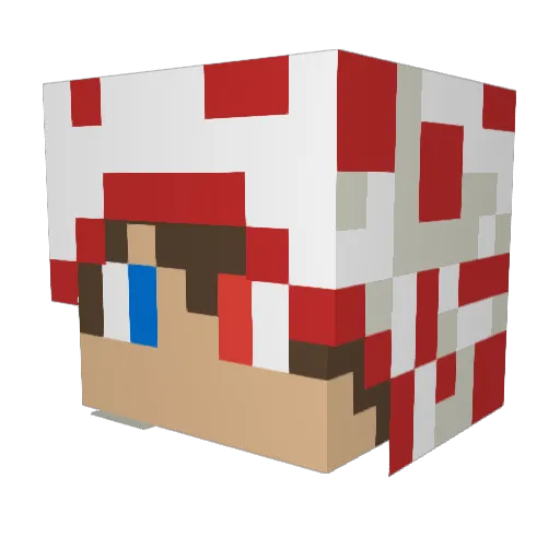 Mxm_10 Minecraft avatar head, 3D render