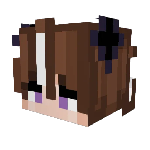 Mxonie Minecraft avatar head, 3D render