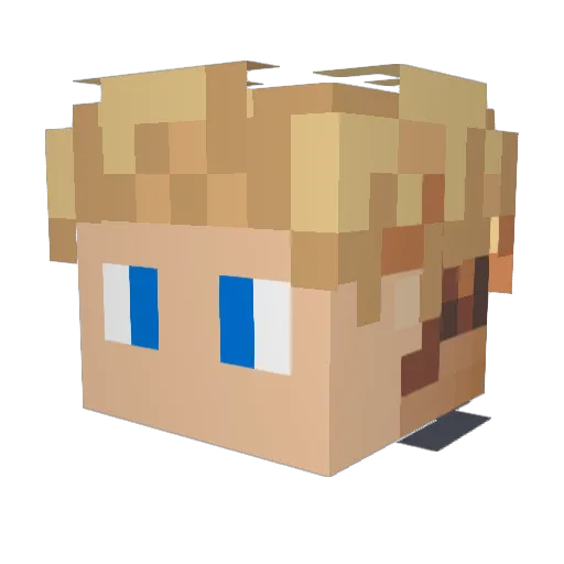 Mxrijn9 Minecraft avatar head, 3D render