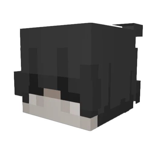 Mxrt1011 Minecraft avatar head, 3D render
