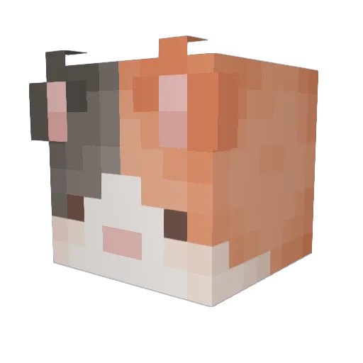 MyBlueJeans Minecraft avatar head, 3D render
