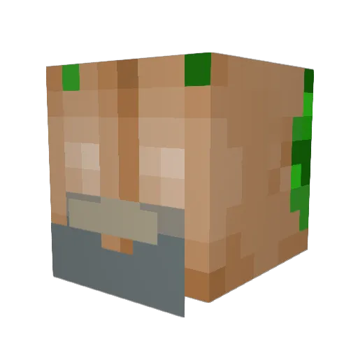 MyButtSmellsBad Minecraft avatar head, 3D render