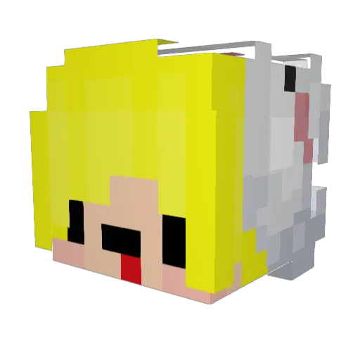 MyChinsHaveChins Minecraft avatar head, 3D render
