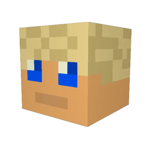 MyDim Minecraft avatar head, 3D render