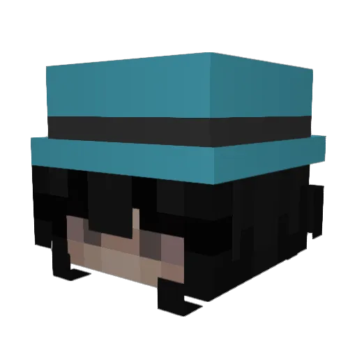 MyDogIsMishk Minecraft avatar head, 3D render