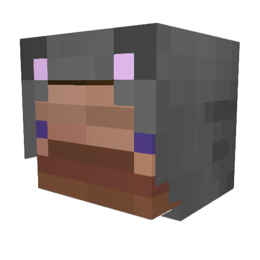 MyDolphin Minecraft avatar head, 3D render