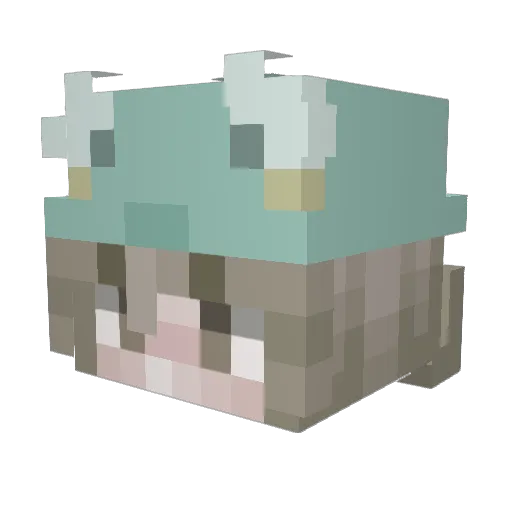 MyFaucetIsOn Minecraft avatar head, 3D render