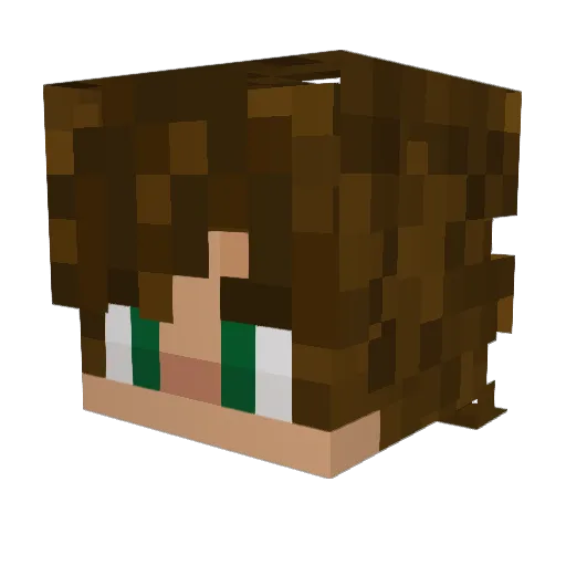 MyIslandmaster Minecraft avatar head, 3D render