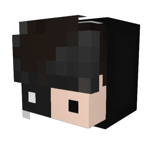 MyKdMeansNothing Minecraft avatar head, 3D render