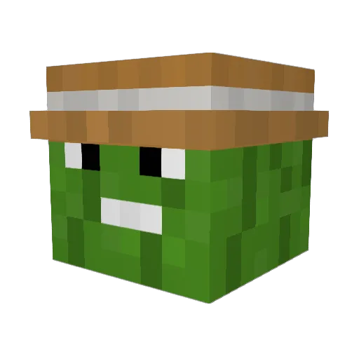 MyLittlePickle Minecraft avatar head, 3D render