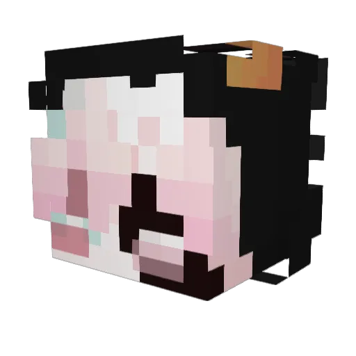 MyMeloh Minecraft avatar head, 3D render