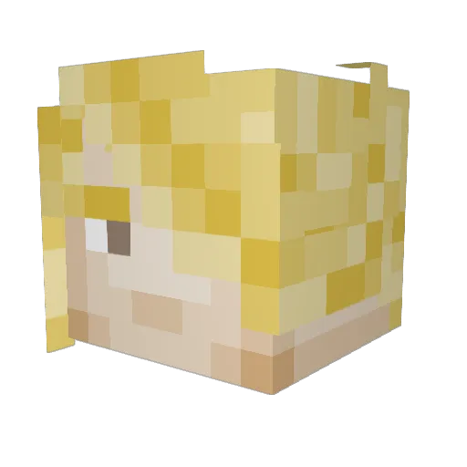 MyNameIsPingu Minecraft avatar head, 3D render
