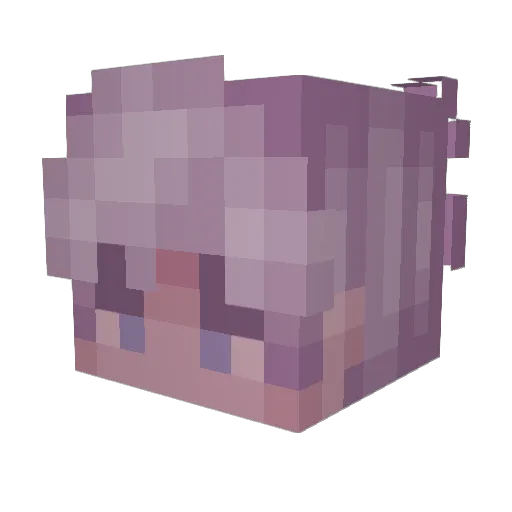 MyNameIsRayn Minecraft avatar head, 3D render