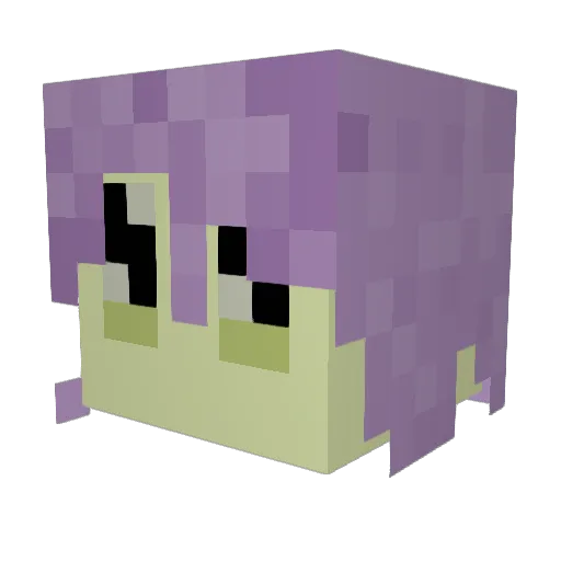 MyNameJeff5202 Minecraft avatar head, 3D render