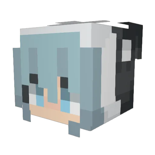 MyNameMyLeg Minecraft avatar head, 3D render