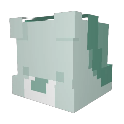 MyNameWasStolen Minecraft avatar head, 3D render