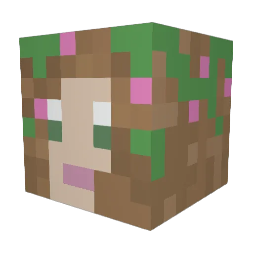 MyNamesColumbia Minecraft avatar head, 3D render